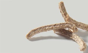 Weizenkleiestäbe Typ 3